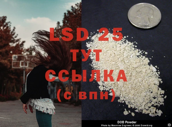 дживик Каменка