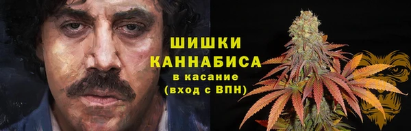 дживик Каменка
