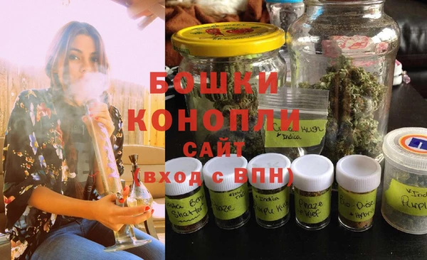 дживик Каменка
