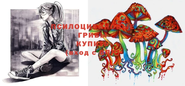 дживик Каменка