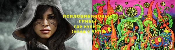 герыч Каменногорск