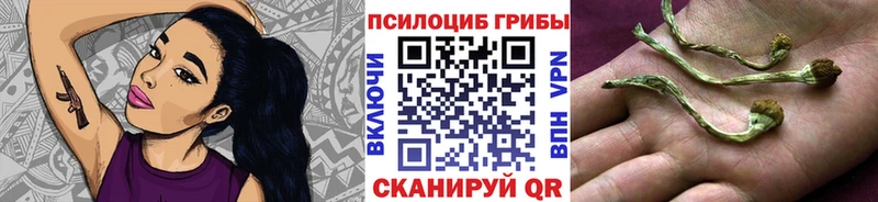 Галлюциногенные грибы Psilocybe  Купить  Тосно 